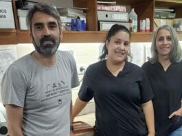 Una tesis aportó datos sobre el ciclo reproductivo de una serpiente del NEA
