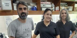CIENCIAS BIOLÓGICAS Una tesis aportó datos sobre el ciclo reproductivo de una serpiente del NEA