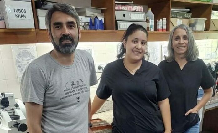 Ortiz-Ruiz-SandovalUM1