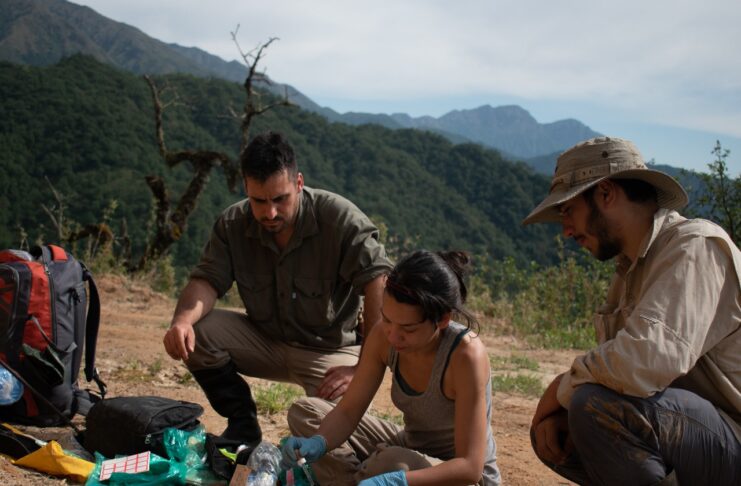 Egresada de la UNNE integra un proyecto para estudiar al «Juco», el único oso nativo de Sudamérica