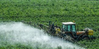 Entrevista Argentina abandonó un estudio que la exponía como la más contaminada con pesticidas