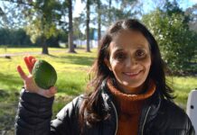 EXTENSIÓN UNIVERSITARIA Investigadoras de la UNNE y el INTA elaboraron manual gratuito para impulsar el cultivo de palta en el NEA