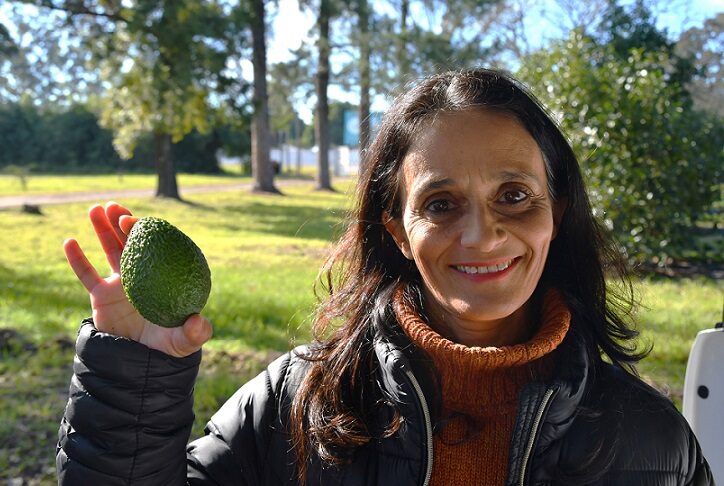 Investigadoras de la UNNE y el INTA elaboraron manual gratuito para impulsar el cultivo de palta en el NEA