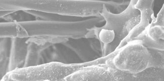 CIENCIA UNNE Becaria investiga la presencia de residuos de disparos con armas de fuego en diferentes prendas