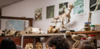 Avanza convocatoria de la UNNE para pasantías científicas de estudiantes secundarios