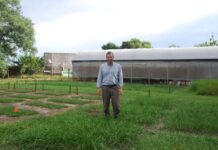 FACULTAD DE CIENCIAS AGRARIAS Investigador de la UNNE y CONICET colaboró en libro de referencia internacional sobre pastizales