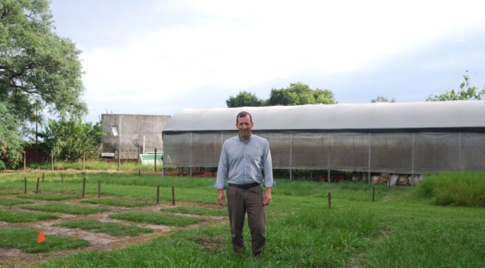 FACULTAD DE CIENCIAS AGRARIAS Investigador de la UNNE y CONICET colaboró en libro de referencia internacional sobre pastizales