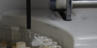 UNNE SALUD Pesquisa bioquímica: realizan análisis gratuitos a niños y adultos para detectar enfermedades