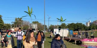 INICIATIVA DE UNA CÁTEDRA DE LA FACULTAD DE ARTES EN RESISTENCIA Sumar árboles a la ciudad, una propuesta para seguir promoviendo la Educación Ambiental desde la UNNE