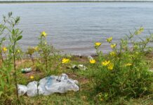 SEMANA VERDE Especialistas de UNNE expusieron sobre el impacto de los desechos plásticos y desafíos para su reducción