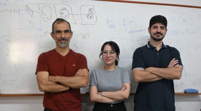 Grupo de la UNNE es premiado en Jornada Nacional por un trabajo sobre modelos de inteligencia artificial para el dominio legal