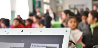 EN EL MARCO DEL PROYECTO PROVINCIAL “VOCES QUE INSPIRAN” Entregarán el “Premio UNNE a la Alfabetización” a docentes de nivel primario de Corrientes