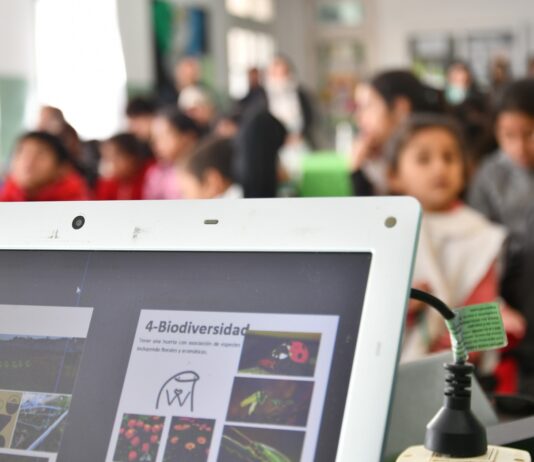 Entregarán el “Premio UNNE a la Alfabetización” a docentes de nivel primario de Corrientes