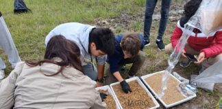 COMPROMISO AMBIENTAL Bioinsumos: la apuesta de la UNNE para impulsar la agricultura sostenible