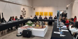 PRIMER ENCUENTRO DE LA NUEVA GESTIÓN Extensión Unne: el Consejo Asesor delineó líneas de trabajo para potenciar esta función de la universidad