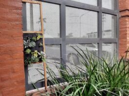 Eficiencia energética: diseñan un prototipo de «sistema de modular verde” para su aplicación en edificaciones del nordeste
