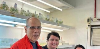 CIENCIA UNNE Con tecnología y modelos matemáticos estudian la adaptación de la planta de tomate al cambio climático