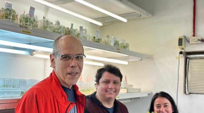 CIENCIA UNNE Con tecnología y modelos matemáticos estudian la adaptación de la planta de tomate al cambio climático