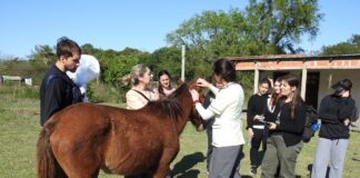 “UNNE SALUD, EXACTAS” En conjunto con instituciones educativas y la comunidad, buscan fortalecer la prevención de parasitosis