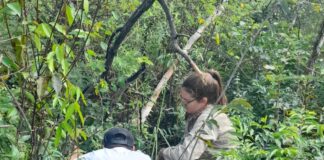 CIENCIA  La UNNE cuenta con 162 grupos de investigación acreditados formalmente