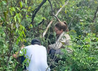 CIENCIA La UNNE cuenta con 162 grupos de investigación acreditados formalmente