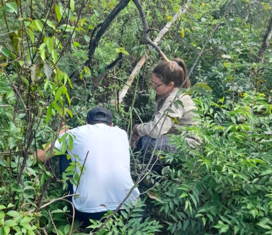 La UNNE cuenta con 162 grupos de investigación acreditados formalmente