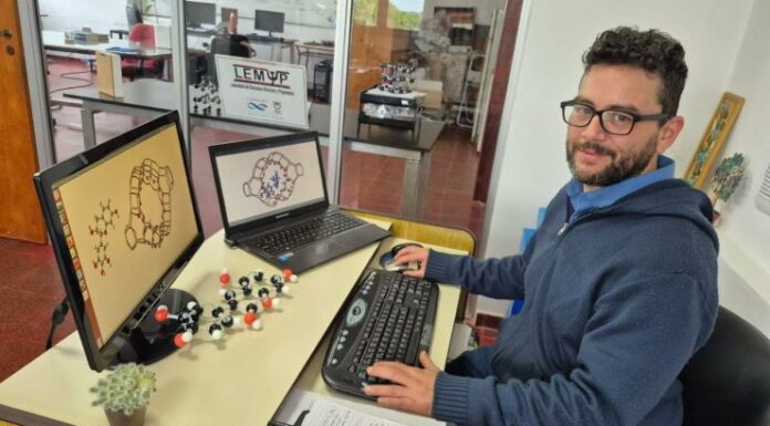 Con simulaciones computacionales estudian mecanismos moleculares de transformación de biomasa en bioproductos y biocombustibles