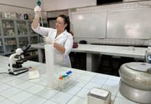 Producción Porcina: evaluaron cómo reemplazar el maíz en la alimentación con un subproducto regional
