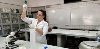 NUEVOS CONOCIMIENTOS Producción Porcina: evaluaron cómo reemplazar el maíz en la alimentación con un subproducto regional