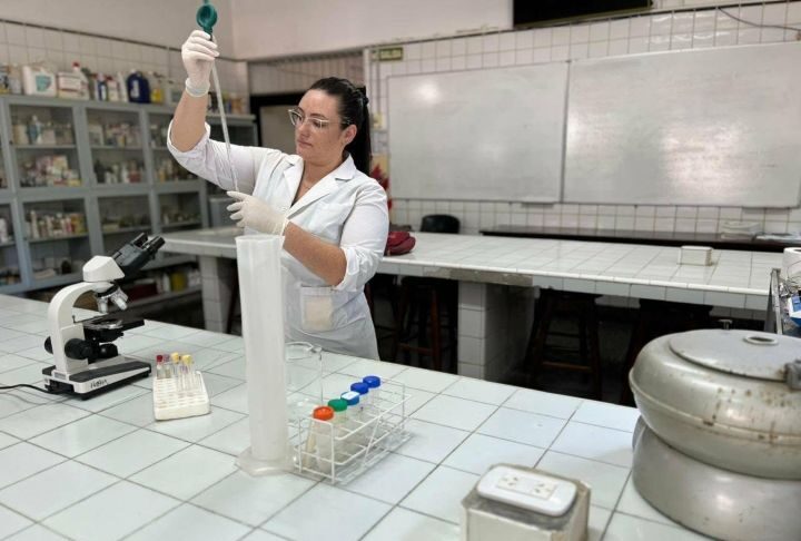 Producción Porcina: evaluaron cómo reemplazar el maíz en la alimentación con un subproducto regional