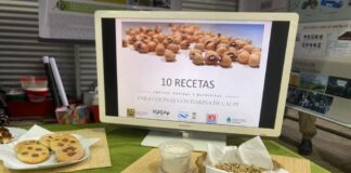 LEGUMBRE DE INTERÉS REGIONAL Con un recetario de comidas, buscan promover el consumo de harina del poroto caupí