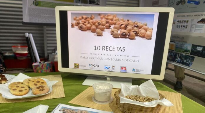 LEGUMBRE DE INTERÉS REGIONAL Con un recetario de comidas, buscan promover el consumo de harina del poroto caupí