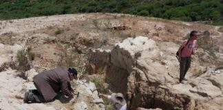 La UNNE y Conicet colaboran en el conocimiento de una megafauna de más de 30 mil años en Bolivia