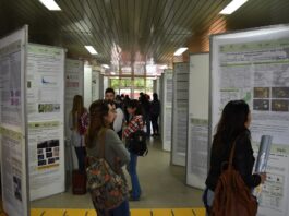 Con más de 300 trabajos comienza la edición 2024 de la reunión de comunicaciones científicas de la UNNE