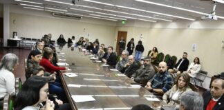 REUNIÓN DE LA RED DE ARTICULACIÓN  Graduados: la UNNE busca potenciar el vínculo entre sus egresados y las ofertas laborales