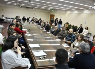 REUNIÓN DE LA RED DE ARTICULACIÓN Graduados: la UNNE busca potenciar el vínculo entre sus egresados y las ofertas laborales