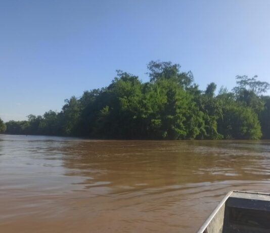 Desarrollan un modelo de decisión para optimizar el riego desde cuencas hídricas