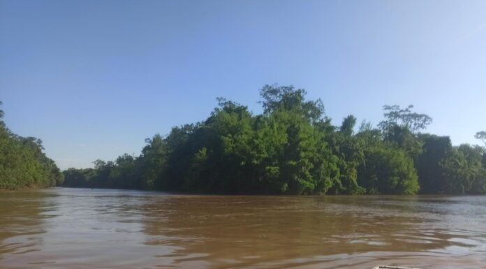 TRANSFERENCIA TECNOLÓGICA Desarrollan un modelo de decisión para optimizar el riego desde cuencas hídricas