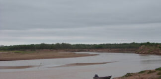 A diferencia del Paraná, los peces del río Bermejo tuvieron adecuada reproducción en los últimos años
