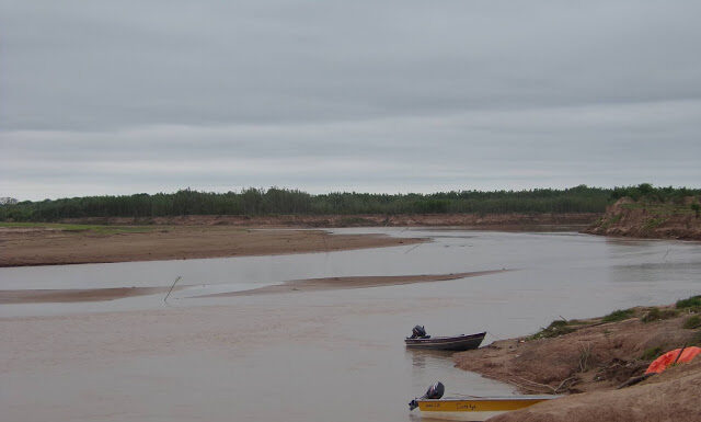 A diferencia del Paraná, los peces del río Bermejo tuvieron adecuada reproducción en los últimos años