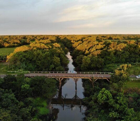 Como aporte a la gestión del riesgo hídrico, describen las características morfométricas de la cuenca del río de Oro