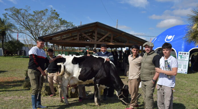 La UNNE hace base en La Rural de Corrientes con productos y servicios para el sector