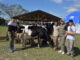 La UNNE hace base en La Rural de Corrientes con productos y servicios para el sector