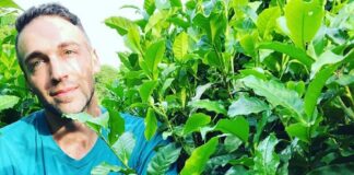 Producción  El mayor especialista de tés en la Argentina disertará en la Facultad de Ciencias Agrarias