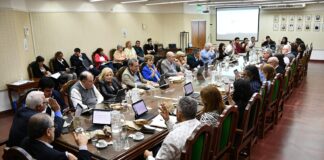 CRONOGRAMA DE TRABAJO La UNNE aprobó un proyecto institucional para avanzar en la implementación de los créditos académicos en sus carreras