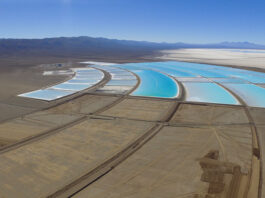 «Solo dos empresas explotan el litio en Argentina y las demás especulan; es un muy mal negocio»