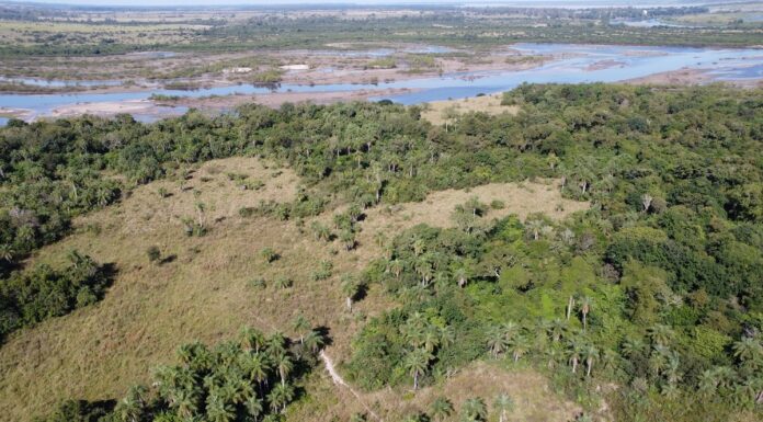 TRABAJO DEL CECOAL E IBONE Identifican una importante riqueza de especies en pastizales en la reserva Santa Catalina