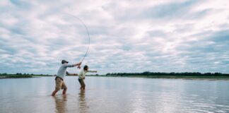 UNIVERSIDAD – EMPRESA – ESTADO “Es un gran logro vincularnos a la UNNE en un proyecto con universidades de EE. UU. y Canadá”