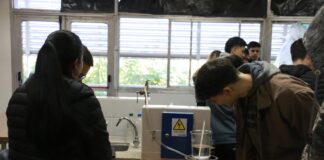 «Experiencia STEAM», escuelas de 12 localidades de Corrientes participan en una innovadora propuesta de formación