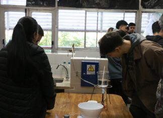 FAVORECER EL CAMINO A LA UNIVERSIDAD «Experiencia STEAM», escuelas de 12 localidades de Corrientes participan en una innovadora propuesta de formación